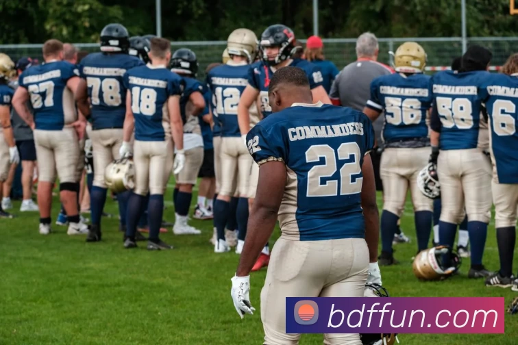 博到发娱乐城官网平台生态图