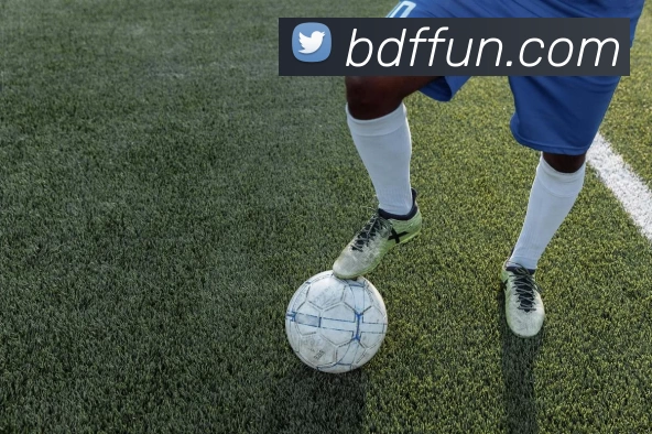 博到发娱乐城官网全站App